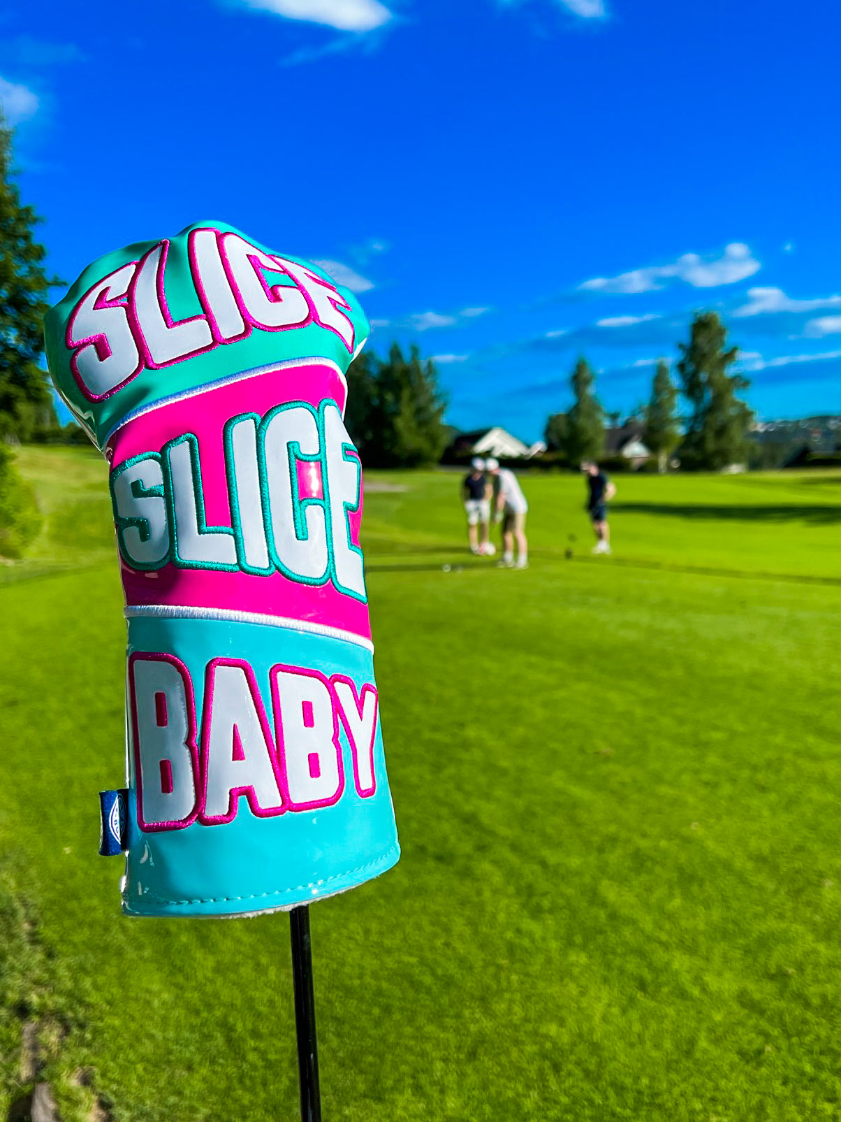 Slice Slice Baby Hat