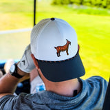 Tiger G.O.A.T Hat